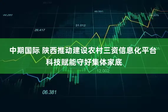 中期国际 陕西推动建设农村三资信息化平台 科技赋能守好集体家底